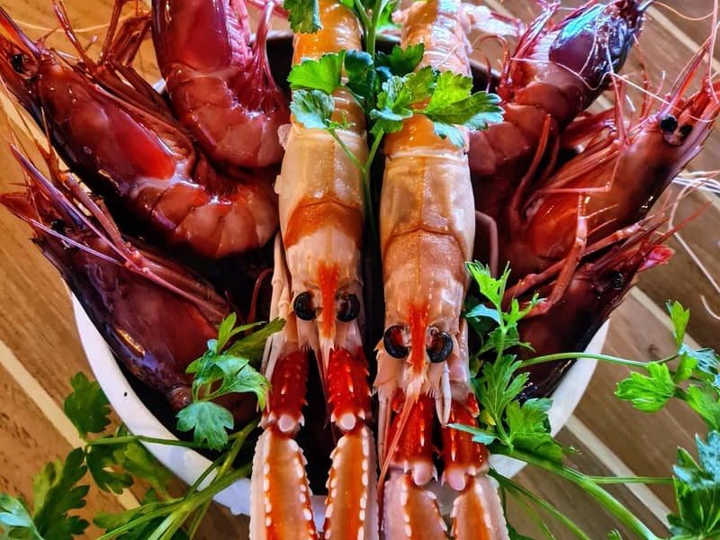 restaurante hydra carta51