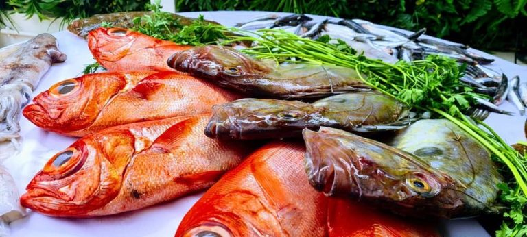 restaurante-hydra-carta01