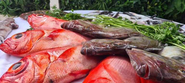 restaurante-hydra-carta54