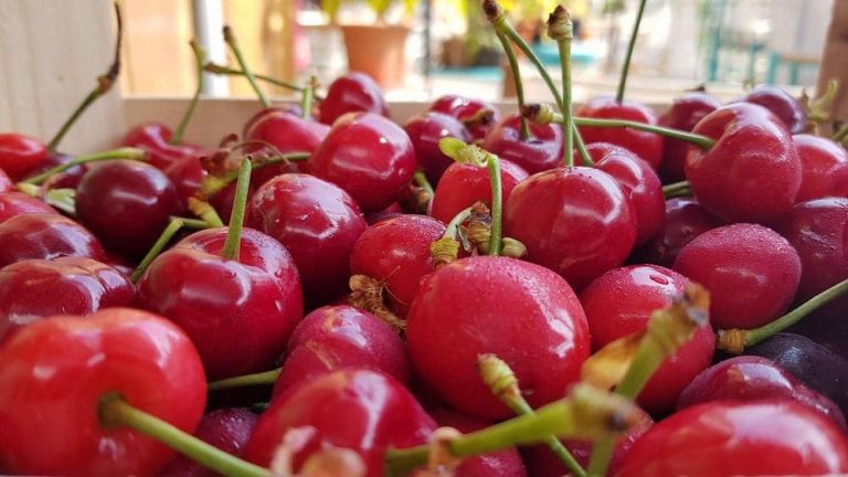 restaurante-hydra-carta83